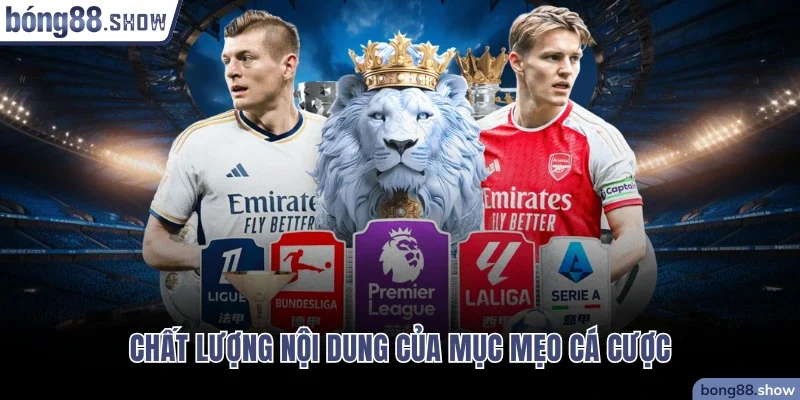 Chất lượng khi tham khảo mục mẹo cá cược